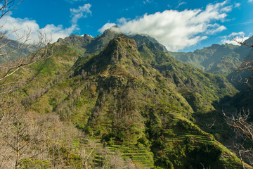 mountain terrace view (landscape)