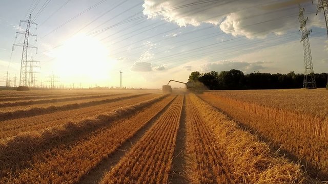 Luftaufnahme - Kornfeld - Ernte - M&auml;hdrescher