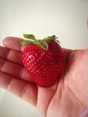 Obraz premium strawberry in the hand