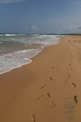 Bentota Beach