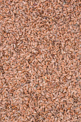 Linseed Background