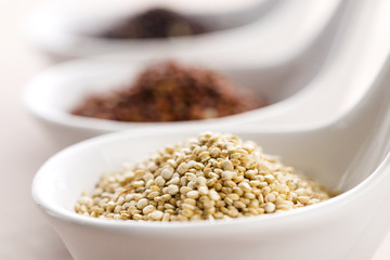Quinoa grain