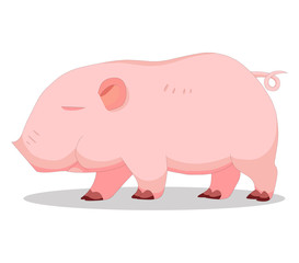Cute baby pigless cartoon