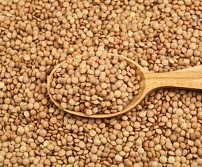 lentils