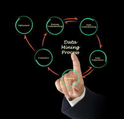 Data mining process