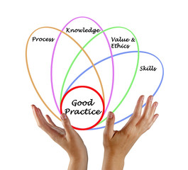 Diagram of good practice