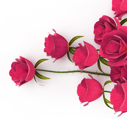 Fototapeta premium Love Roses Represents Passion Romance And Dating
