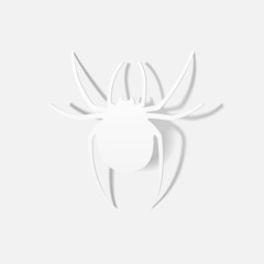 realistic design element: spider