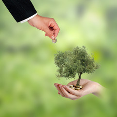 investing to green business
