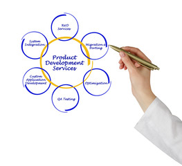 Product development services