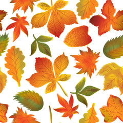 Seamless pattern of autumn leaves Vector