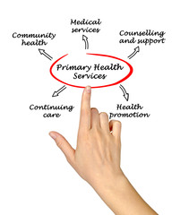 Primary health services