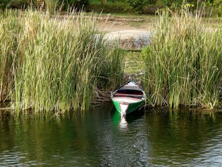 Barque