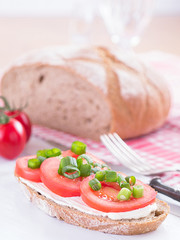 Eine Scheibe Brot, belegt mit Tomatenscheiben.