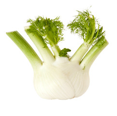 A fresh fennel bulb isolated on white background