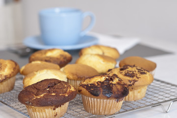 Muffins just baked are ready for the breakfast