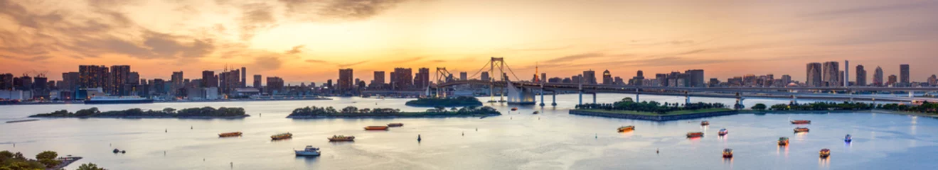 Selbstklebende Fototapeten Bucht von Tokyo Panorama © eyetronic