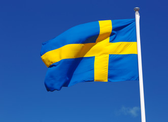 Swedish flag