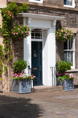 Front entrance with elegant designs and decorative plants