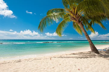 Fotobehang Barbados © Fyle