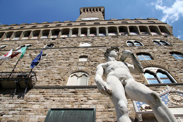Palazzo Vecchio David - 66842189
