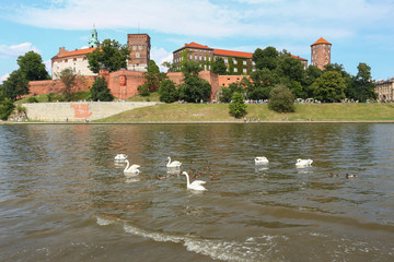 Kraków - Wawel © Rochu_2008