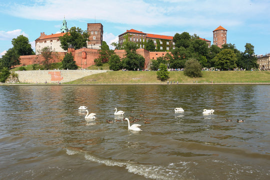 Fototapeta Kraków - Wawel