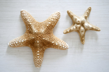 starfishes on a white wooden table