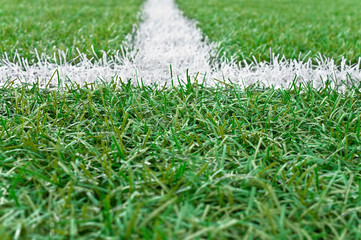 White line markings on the soccer field