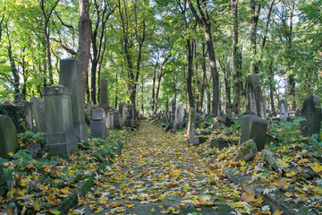 Cmentarz Żydowski - Kraków