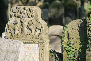 Craków | Jewish cementary