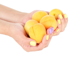 Female hands with stylish colorful nails holding ripe apricots,