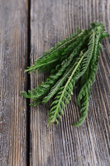 Yarrow on wooden background