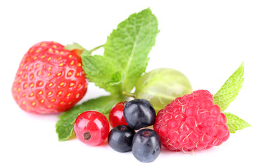 Forest berries isolated on white