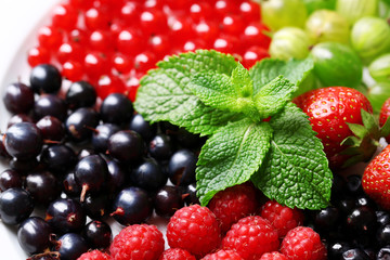 Forest berries, close-up