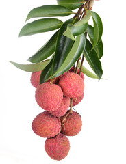 Fresh lychees isolated
