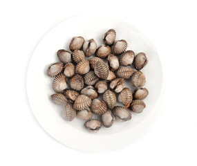 blood cockle cooked