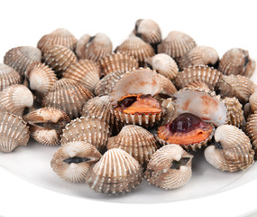 blood cockle cooked
