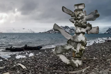Tuinposter Antarctic Whale Bones © ead72