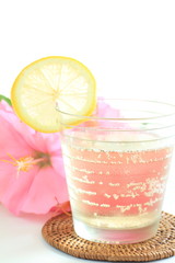 glass of soda with lemon for cocktail image