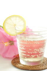 glass of soda with lemon for cocktail image