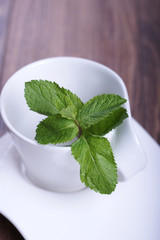 Мята в кружке