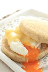 poached egg and chesse in English muffin for gourmet sandwich 