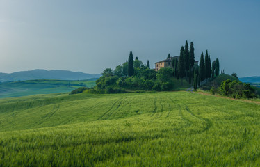 typical tuscan landscape