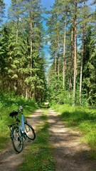 Szlak rowerowy w lesie