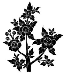 flower isolated on White background