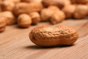 Erdnuss