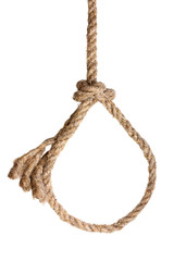 Rope noose on white