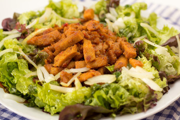 Gebratene Tofustreifen auf Salat_01
