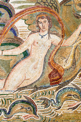 Venus Mosaic (1) © essential image
